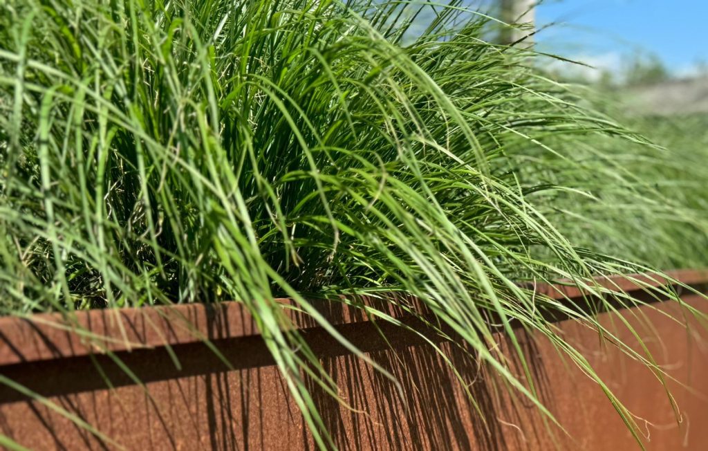 Cortenstalen maatwerk | Cortenstalen afboording | Cortenstaal in de tuin | Cortenstaal Vlaeminck | Cortenstaal Blankenberge